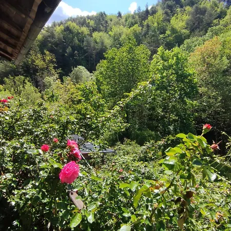 Moulin Vieux Bed & Breakfast