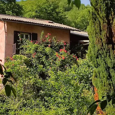 Moulin Vieux